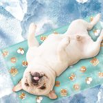 Pet Cool Pad Plastic Foldable Pet Cooling Mat Cat Sleeping Pad Puppy Summer Bed - Image 6